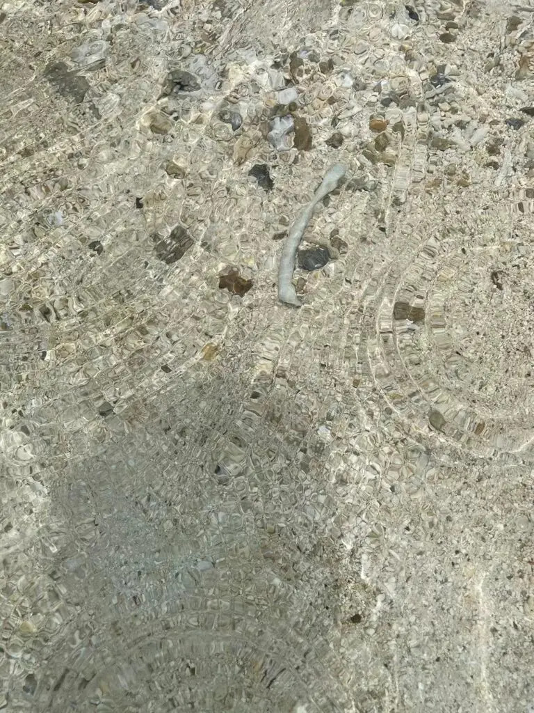 海の透明感で砂浜が透き通ってる様子