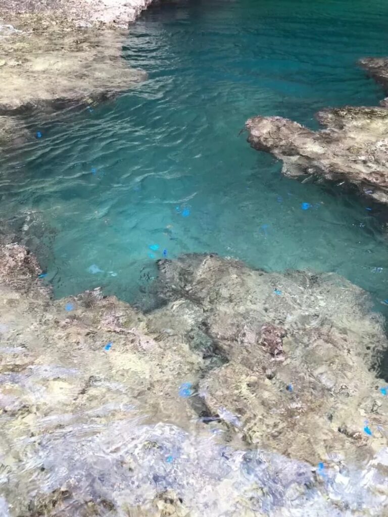 青の洞窟周辺は青い魚が多くて幻想的