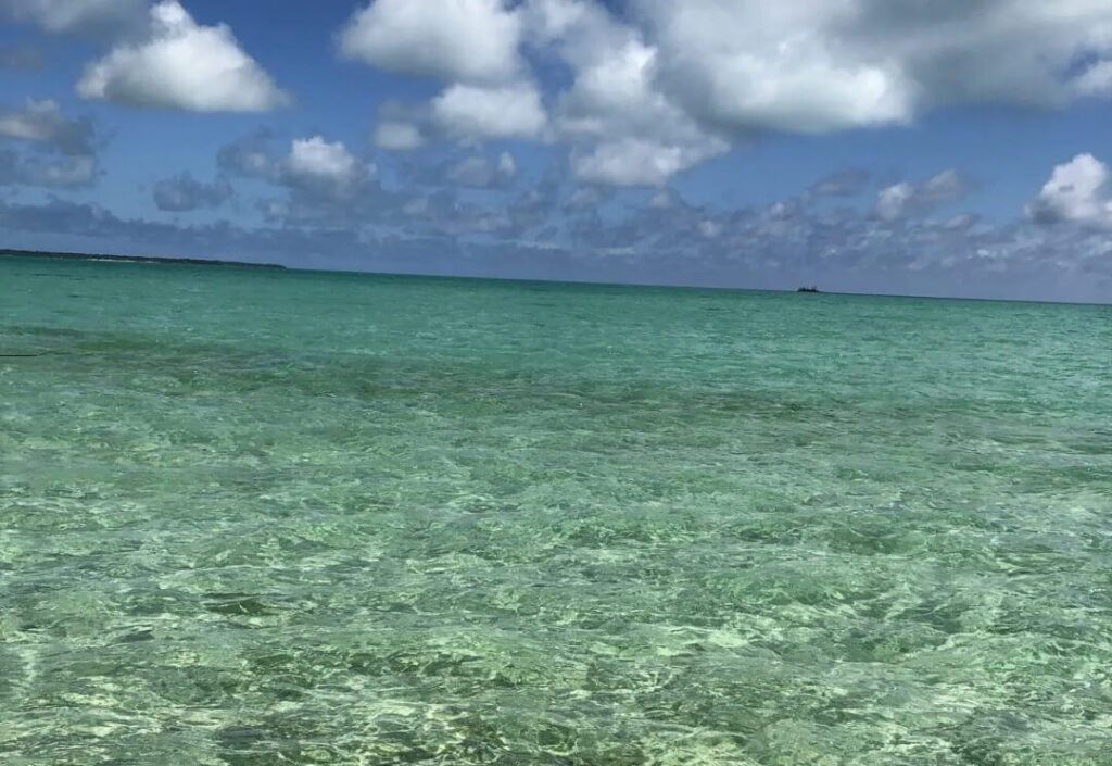 浜島のきれいな海