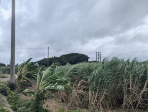 台風の様子