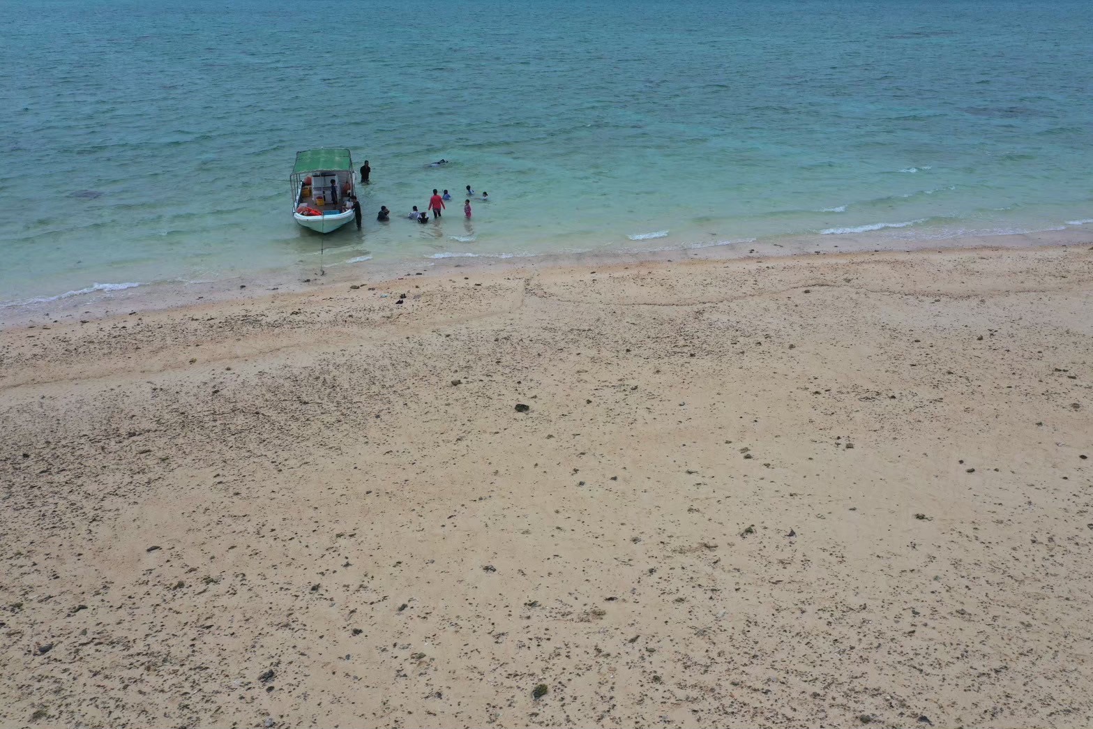 海で遊んでる様子