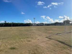 石垣島の7月・8月の服装の参考になる夏の公園の風景