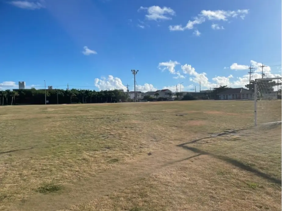 石垣島の7月・8月の服装の参考になる夏の公園の風景